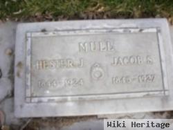 Hester J Whelan Mull