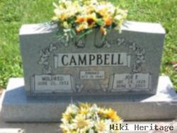 Joe F. Campbell