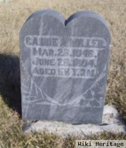 Carrie A. Miller