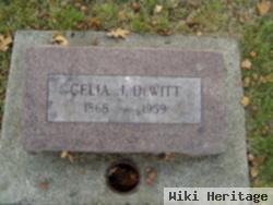 Celia J. Hackett Dewitt