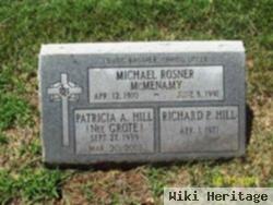 Michael Rosner Mcmenamy