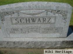 Carl H Schwarz