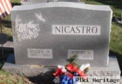 Robert J Nicastro