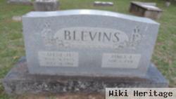 James L Blevins