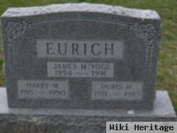 Harry M Eurich