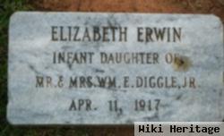 Elizabeth Erwin Diggle