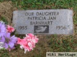 Patricia J Barnhart