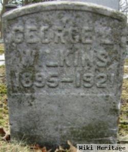 George Lewis Wilkins