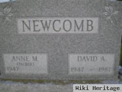 David A Newcomb