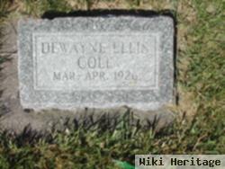 Dewayne Ellis Cole