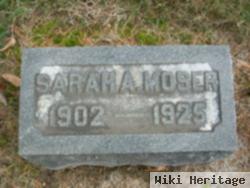 Sarah Ann Welty Moser