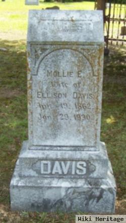 Mollie E Davis