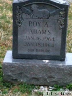 Roy A Adams