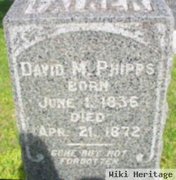 David M Phipps