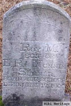 Roy M Sumner