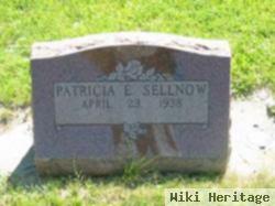 Patricia E Sellnow