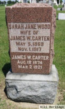 Sarah Jane Wood Carter