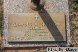 Charles Amos Skelton