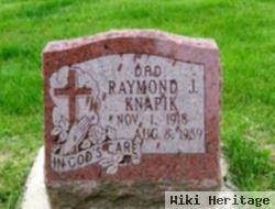 Raymond J Knapik