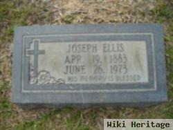 Joseph Ellis