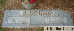 Nicholas Anthony "nick" Bisogno, Sr