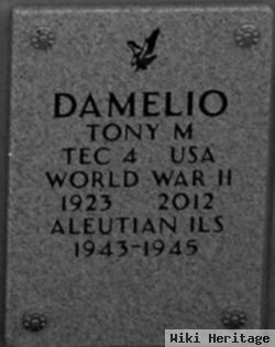 Tony M Damelio