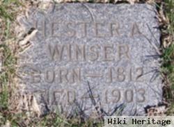 Hester Winser