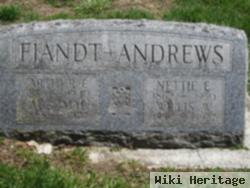 Nettie E. Collins Andrews