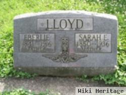 Sarah E Lloyd