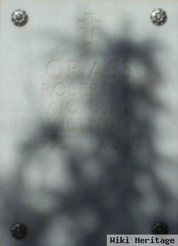 Robert W Grass