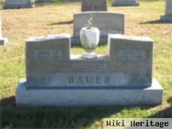 John A Bauer, Jr