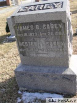 James B. Carey