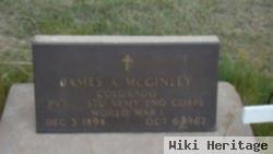 James A. Mcginley