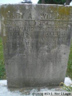 Mary A Ward