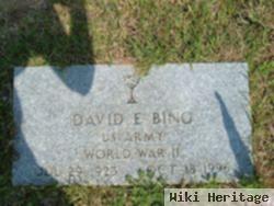 David Elbert Bing