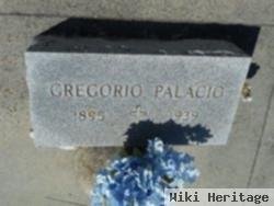 Gregorio Palacio