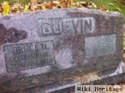 Bruce H Guevin