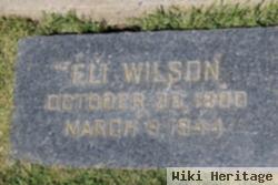 Eli Wilson