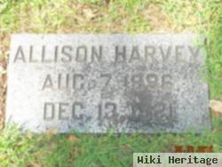 Allison Stewart Harvey