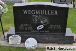 James P. Wegmuller