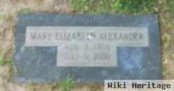 Mary Elizabeth Dulin Alexander