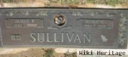 James P Sullivan