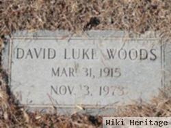 David Luke Woods