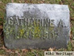 Catharine A. Mcbride Hott