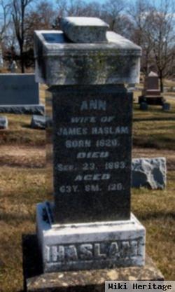 Mary Ann Johnson Haslam