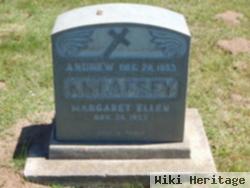 Andrew Kneafsey