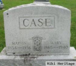 Mary Johnson Case