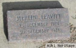 Merlin Leavitt