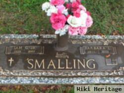 Sam G Smalling, Jr