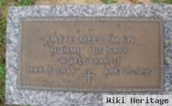 Ray E Meuleman